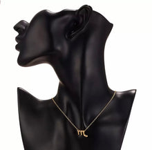 Load image into Gallery viewer, Beautiful Zodiac Necklaces available in silver and gold
